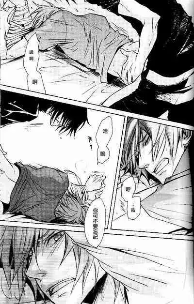 RAGDOLL | 破碎玩偶