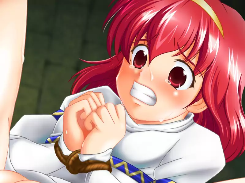 DESIRE EMBLEM 2 ~Injoku no Utage~