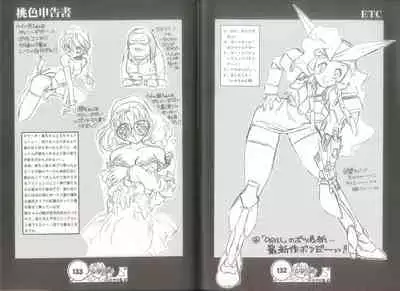 桃色申告書 ver.MILLENNIUM FALCON