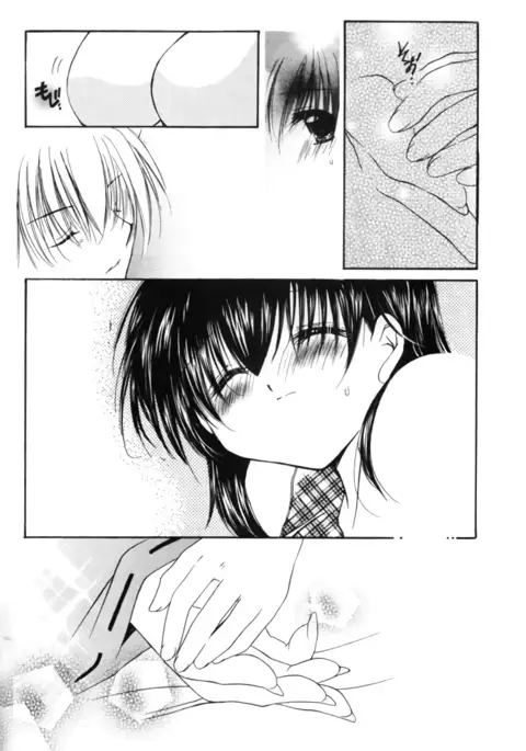 clover clober clover