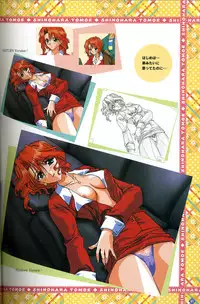 [Visual Fanbook][F&C] きゃんきゃんバニー プルミエール２攻略&設定資料集