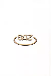 (C87) [SAZ (Onsoku Zekuu)] Mirai no Sekai (Gundam Build Fighters Try)