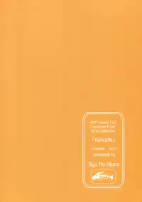 (C93) [Ryu no Abara (Bondo)] Mitsugetsu Destroyer 2 (Kantai Collection -KanColle-)