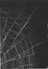 (C78) [Rapid Rabbit (Tomotsuka Haruomi)] Byoujo no Sho (Touhou Project)