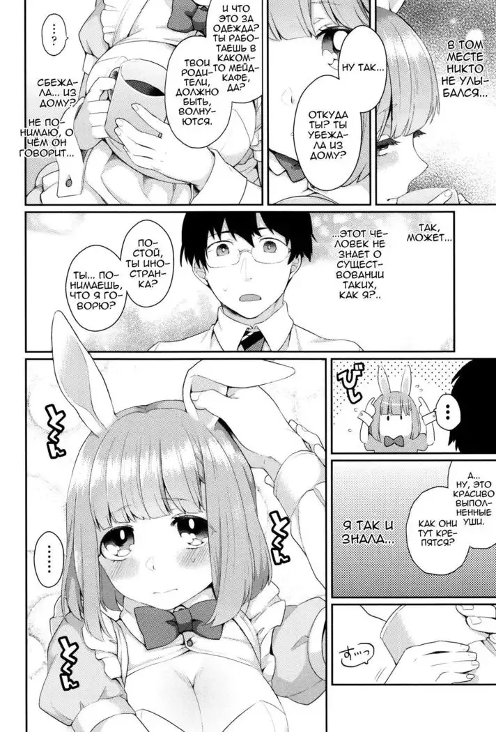 Rabbit hole side:slave