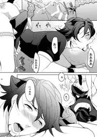 (SPARK9) [BORO ZS (Hyakuichi Nemu)] BOROZS Usagi Tora Sairoku 2 (TIGER & BUNNY)