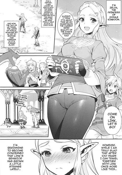 Hyrule Hanei no Tame no Katsudou! | Activities for the Sake of Hyrule’s Future!