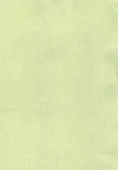 (Puniket 10) [COUNTERPARTS (Gabagobogebe)] Delicate Sound of Thunder (Digimon Adventure)