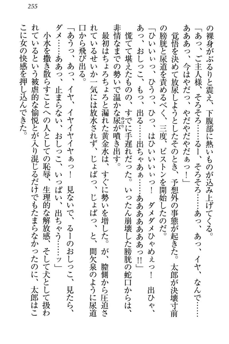 Boku to Ruu Senpai no Houkago Choukyou Nisshi - Kyou mo Watashi o Shitsukenasai!