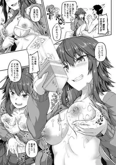 Oniichan ni Maketara Ecchi!