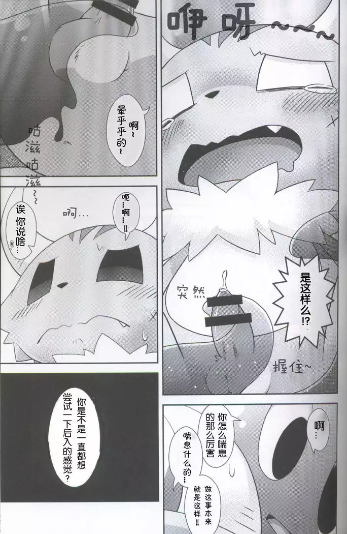 Kakukatariki | 卡库塔利奇