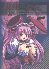 (C73) [VIOLET ORDER (Shimamoto Utsumi)] USADATOG (Di Gi Charat)