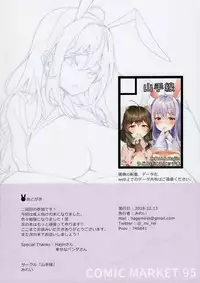 Kimi ga Neteiru Aida ni