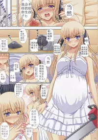 (C79) [Shiawase Kyouwakoku (Shiawase no Katachi)] Katashibu Full Color 35-shuu [Chinese] [Birtwishtle]