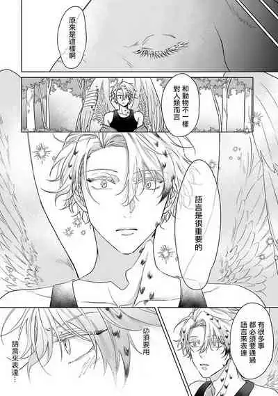 Fukurou no Koiwazurai | 猫头鹰的相思病