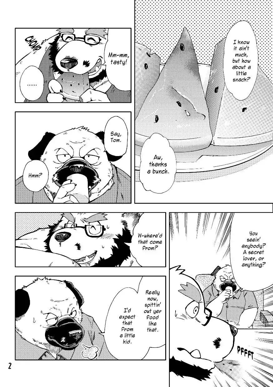 Renai Seibi 3