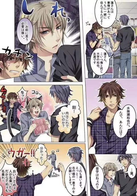 Celeb, Kai Hajimemashita ~Tomato Kareshi no Tsukurikata~