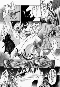 (Mimiket 3) [Red Ribbon Revenger (Various)] Elf's Ear Book 04 - Kuro no Taikai (Star Ocean 2)