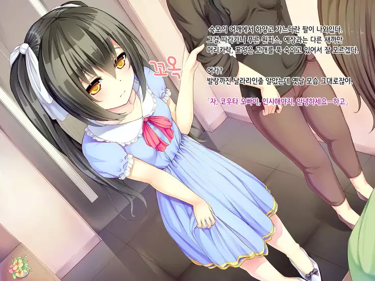 Itoko-chan, Irasshai