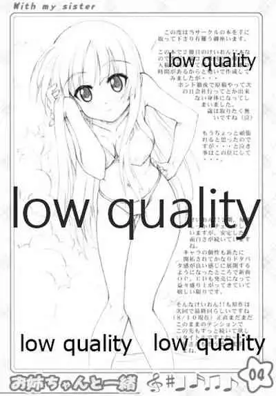 お姉ちゃんといっしょ