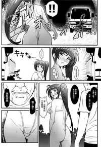 (COMIC1☆13) [Metabo Offensive Smell Uproar (Itachou)] N ~Ochita Ace~ (Mahou Shoujo Lyrical Nanoha) [Chinese] [有毒気漢化組]