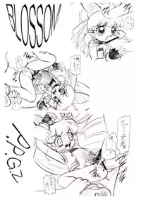 (C70) [Dakimakuma, Jingai Makyou Club (WING☆BIRD)] CHARA EMU W☆BC 001 Demashita! Power Puff Girls Z 001 (Demashita Power Puff Girls Z)