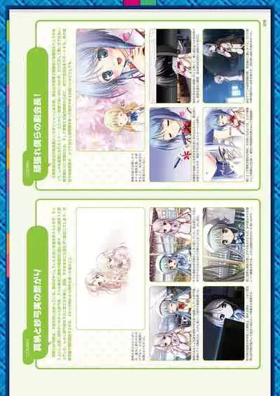 Daitoshokan no Hitsujikai Visual Fan Book Houkago Shippo Days & Dreaming Sheep Visual Fan Book