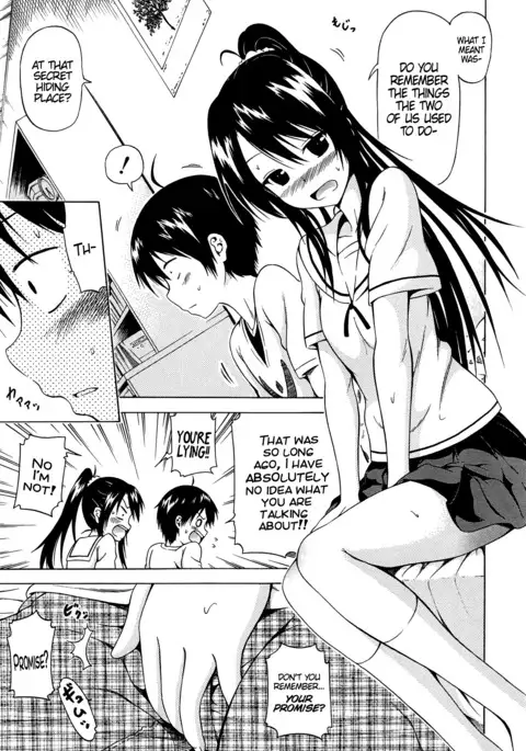 Natsumitsu x Harem! + Bonuses