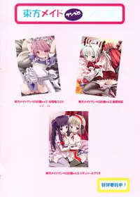(C85) [Nanmin Festival (Gibuchoko)] Touhou Maid-kun Pero Keikaku Vol. 3 Patchouli & Alice (Touhou Project) [Chinese] [Kanade汉化组]