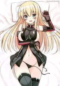 (C87) [Digital Flyer (Oota Yuuichi)] BisColle -Bismarck Collection 2014- | 俾斯收藏 -Bismarck Collection 2014- (Kantai Collection -KanColle-) [Chinese] [嗶咔嗶咔漢化組]