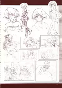 Primitive Link Visual Fanbook