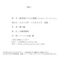 (C83) [Kyoubou Jouchotai (Yoko Juusuke)] Ayane Kan no Ue ni Kasumi Kan (Dead or Alive) [Chinese] [RSV個人漢化]