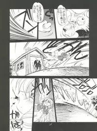 (C46) [PUSSY-CAT (Oono Tetsuya)] Black Cat (Akazukin Chacha, Sailor Moon)