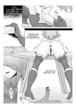 A Sylvan's Distractions