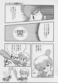 [DONKEY] Dokkin Taiken WAY