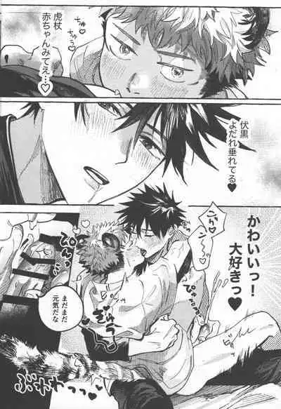 Tora no koubi wa 2 nichi de 100 kai