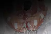 [UNDEAD WORLD (Hashimoto Yuuto)] Danshi Koukousei Kankinroku ~Ore no Shinyuu wa Seishori Pet~