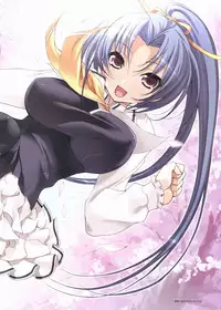 Sakura Sakura Visual Fan Book