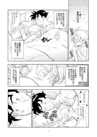 Satoshi meshi-san wa boku to etchinakoto o shita tsugi no hi wa neoki ga yokunai