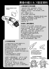 [H.B.A (Usagi Nagomu)] Tasogare no Shou Elf 3 [Chinese] [無邪気漢化組] [Digital]