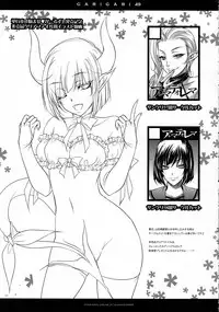 (C83) [Alemateorema (Kobayashi Youkoh)] GARIGARI49 (Touhou Project)