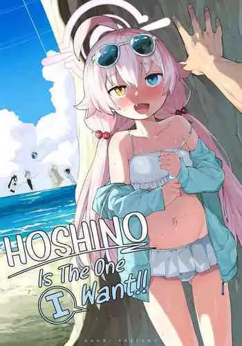 [Henry Plaza (Henrybird)] Hoshino ga (Watashi wa) Iin da yo!! | HOSHINO Is The One I Want!! (Blue Archive) [English] [Sloppy Seconds] [Decensored] [Digital]