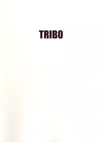 (C71) [TRIBO (Noguchi Masatsu)] MENISCUSKA GUESTULT (Various)