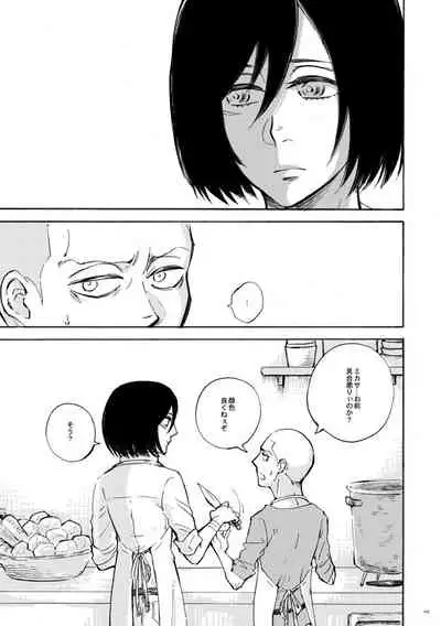 [QuintalLagosta (ebgr) ]   [WEB Sairoku] Sensui hikō - soratobu-gyo. [Shingeki no Kyojin]