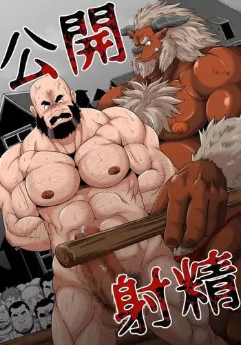 Koukai shasei