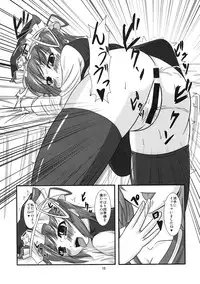 [Endless Requiem] 主従反転 (Touhou)