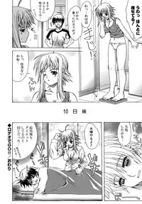 [Lapis Lazuli] Metamorphose