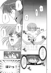 (C70) [Studio Pal (Kenzaki Mikuri, Nanno Koto)] Bird Stryker 2 (Super Robot Taisen)