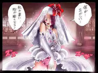 Injo ni Sareta Yuusha