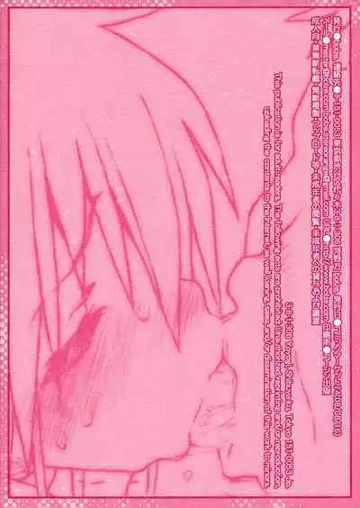 (C74) [bolze. (rit.)] Kara no Naka no Kotori ja Naku Ori no Naka no Koneko | Not a Sheltered Songbird But a Caged Kitten (Hayate no Gotoku!) [English] {defski}